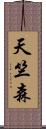 天竺森 Scroll
