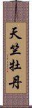 天竺牡丹 Scroll