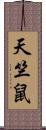 天竺鼠 Scroll