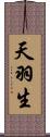 天羽生 Scroll