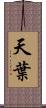 天葉 Scroll