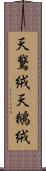 天鵞絨 Scroll