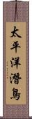 太平洋潛鳥 Scroll