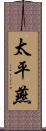 太平燕 Scroll