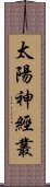 太陽神經叢 Scroll