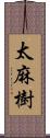 太麻樹 Scroll