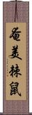 奄美棘鼠 Scroll