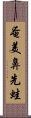 奄美鼻先蛙 Scroll