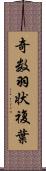 奇数羽状複葉 Scroll