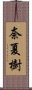 奈夏樹 Scroll