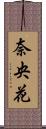 奈央花 Scroll