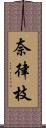 奈律枝 Scroll