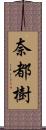 奈都樹 Scroll