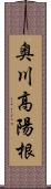 奥川高陽根 Scroll