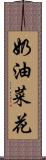 奶油菜花 Scroll