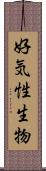 好気性生物 Scroll