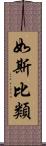 如斯比類 Scroll