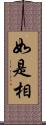 如是相 Scroll