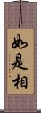 如是相 Scroll