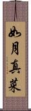 如月真菜 Scroll