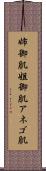 姉御肌 Scroll