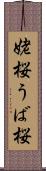 姥桜 Scroll