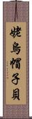 姥烏帽子貝 Scroll