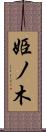 姫ノ木 Scroll