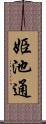 姫池通 Scroll