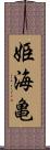 姫海亀 Scroll