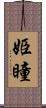 姫瞳 Scroll