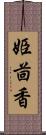 姫茴香 Scroll