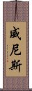 威尼斯 Scroll