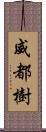 威都樹 Scroll