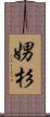 娚杉 Scroll