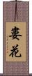 婁花 Scroll