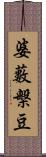 婆藪槃豆 Scroll