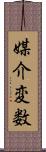 媒介変数 Scroll