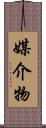 媒介物 Scroll