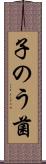 子のう菌 Scroll
