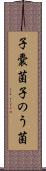 子嚢菌 Scroll