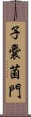 子嚢菌門 Scroll