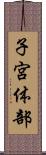 子宮体部 Scroll