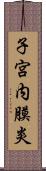 子宮内膜炎 Scroll