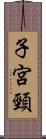 子宮頸 Scroll