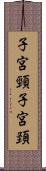 子宮頸 Scroll