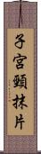 子宮頸抹片 Scroll