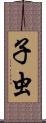 子虫 Scroll