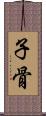 子骨 Scroll