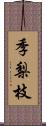 季梨枝 Scroll